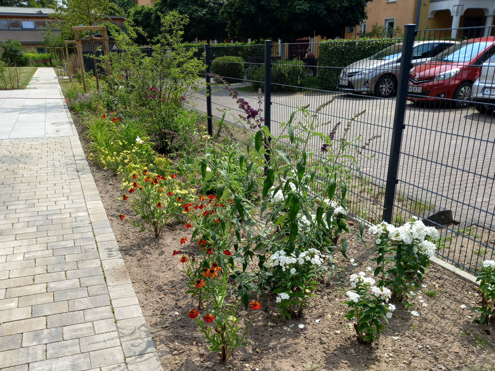 Leistungen Carola Schmidt Garten und Landschaftsbau